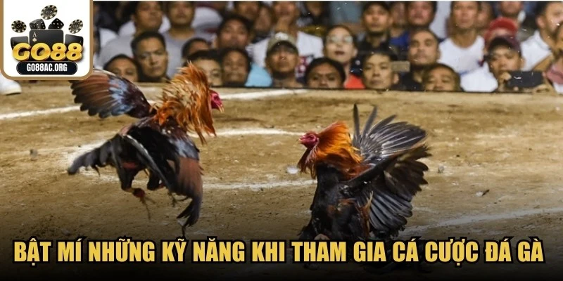 Bật mí những kỹ năng quan trọng khi tham gia cá cược đá gà cựa sắt thomo