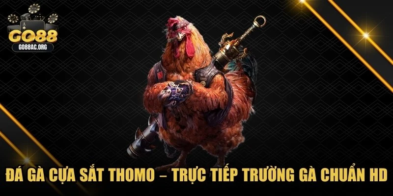 Đá Gà Cựa Sắt Thomo