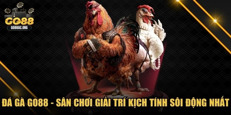Đá gà Go88