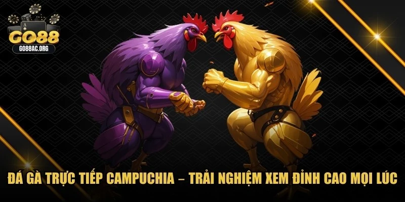 Đá Gà Trực Tiếp Campuchia