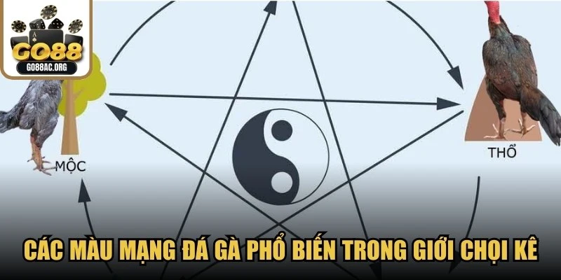 Các màu mạng đá gà phổ biến nhất trong giới chọi kê