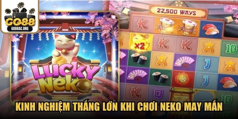 Kinh nghiệm thắng lớn khi chơi Neko may mắn từ cao thủ